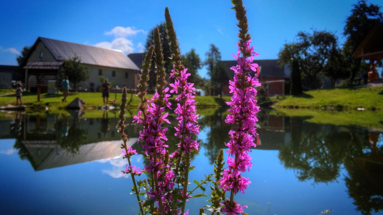 Camp Vrhovc Zelezniki Exterior foto